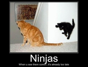 ninjacat3